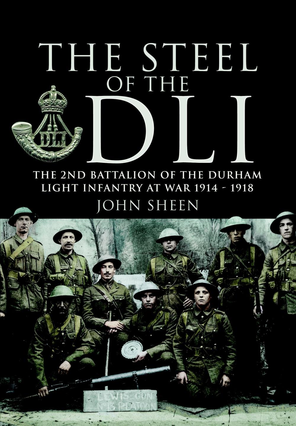 Big bigCover of Steel of the DLI (2nd Bn 1914/18)