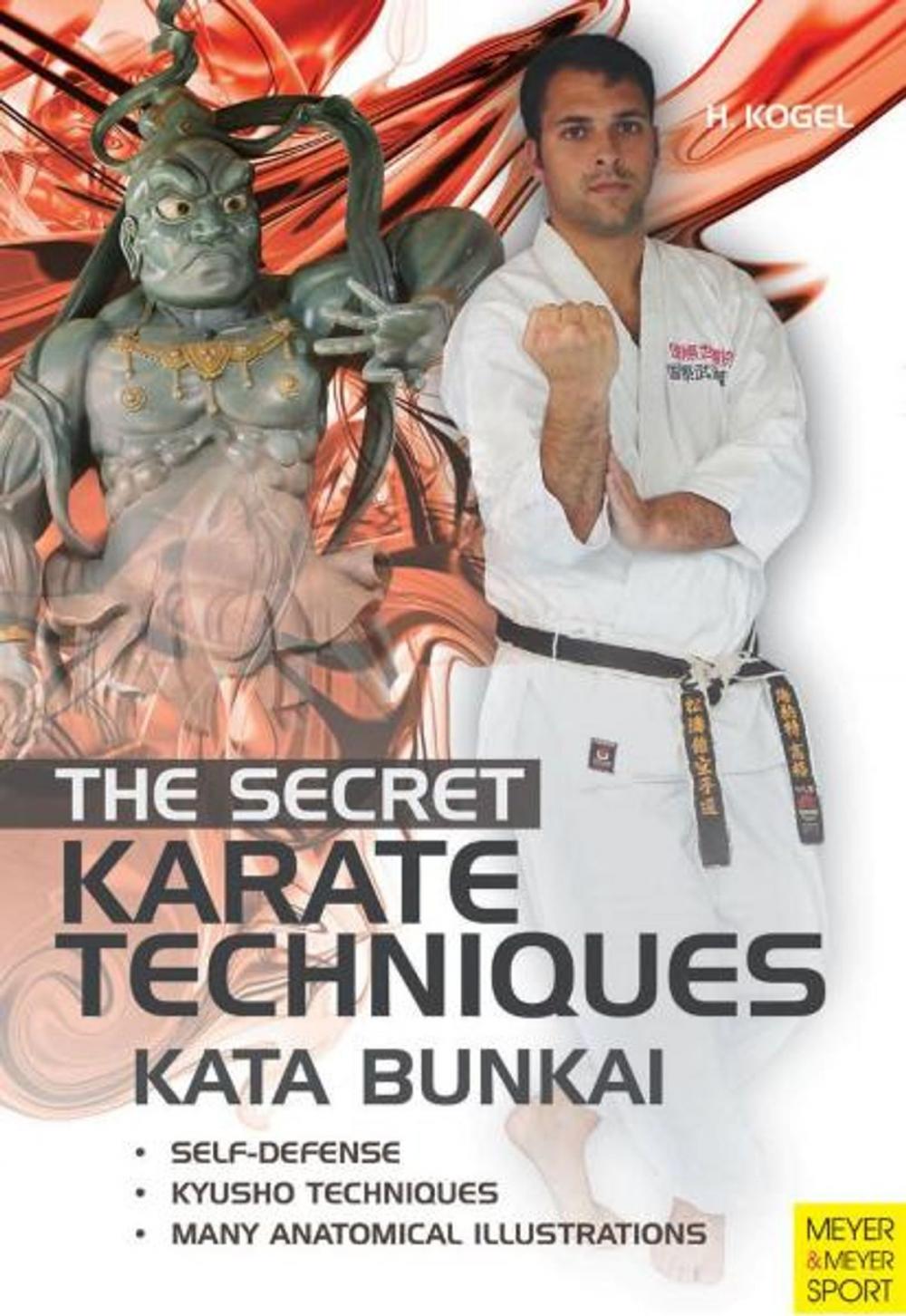 Big bigCover of Secret Karate Techniques Kata Bunkai