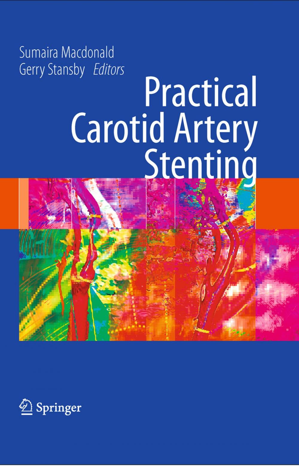 Big bigCover of Practical Carotid Artery Stenting