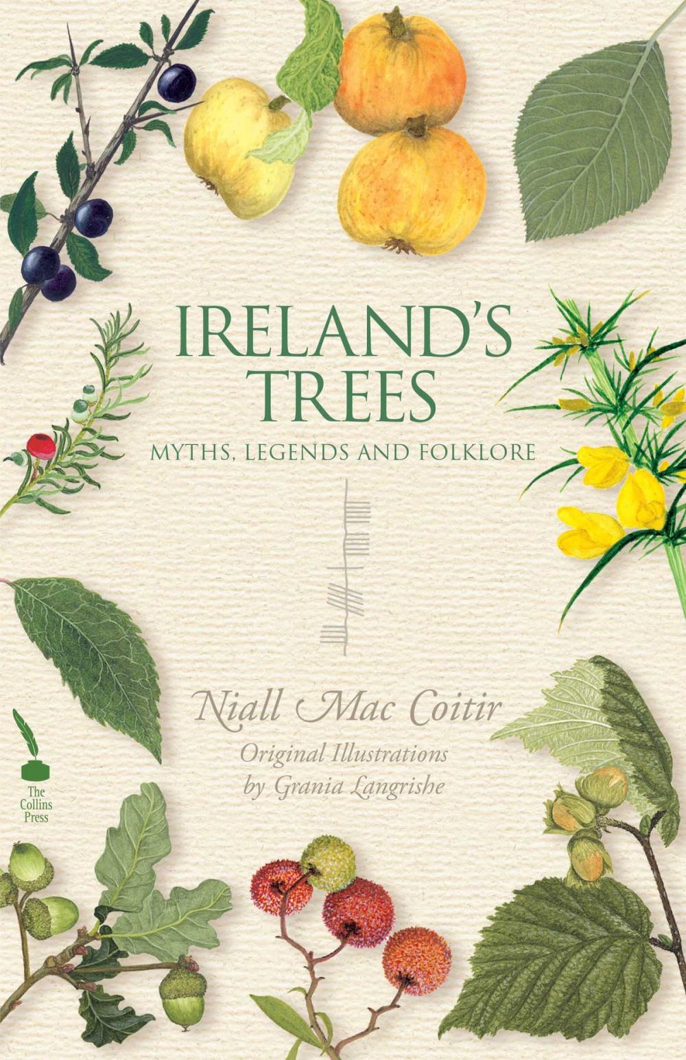 Big bigCover of Ireland's Trees – Myths, Legends & Folklore