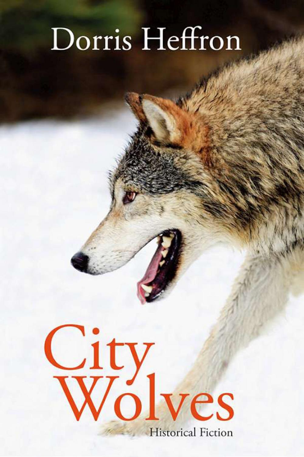 Big bigCover of City Wolves