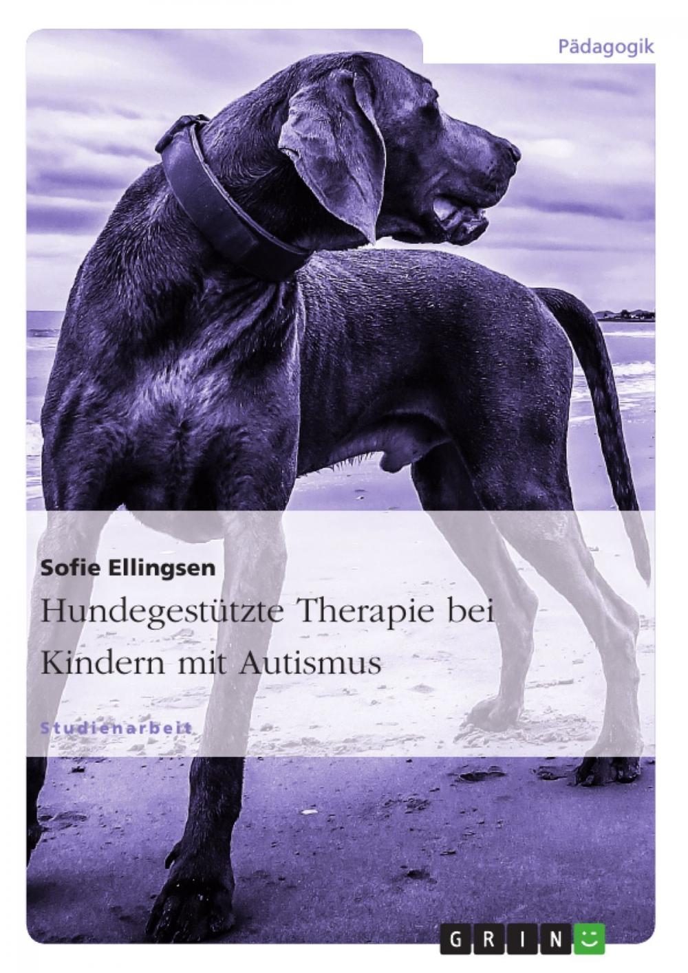 Big bigCover of Hundegestützte Therapie bei Kindern mit Autismus