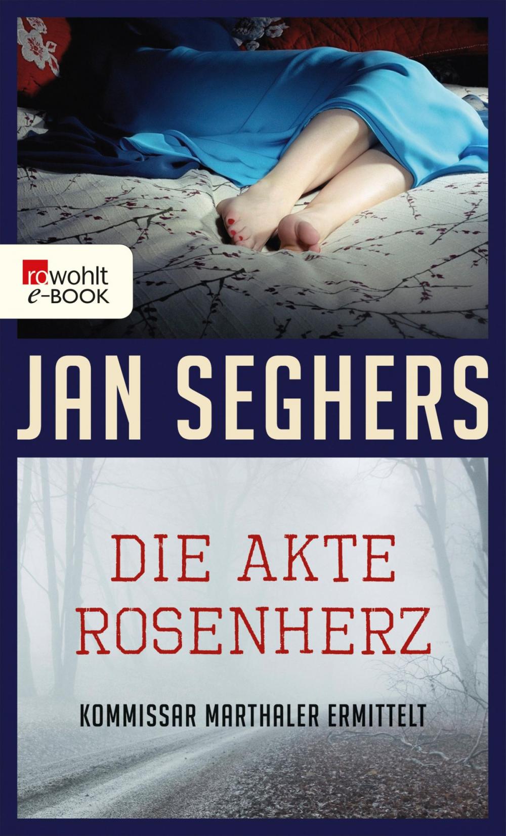 Big bigCover of Die Akte Rosenherz