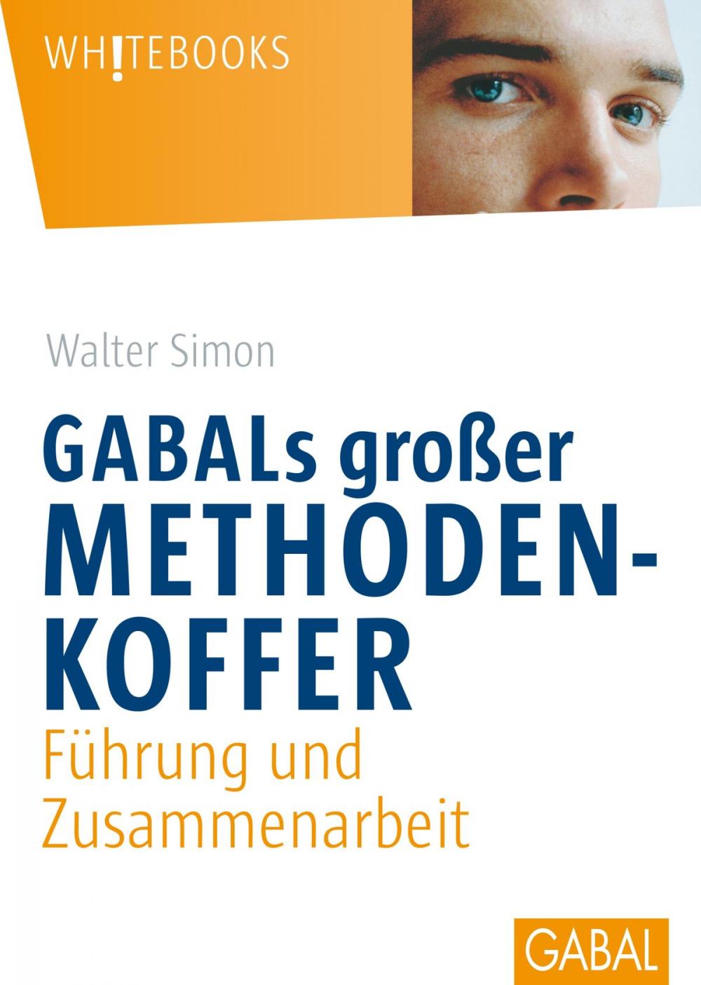 Big bigCover of GABALs großer Methodenkoffer