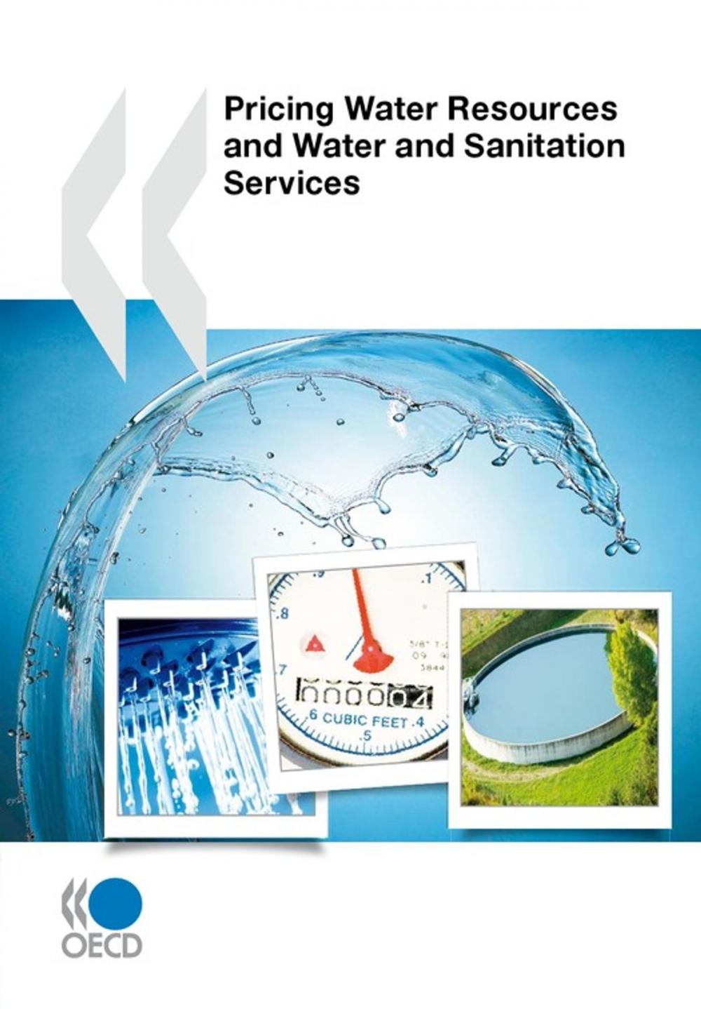 Big bigCover of Pricing Water Resources and Water and Sanitation Services