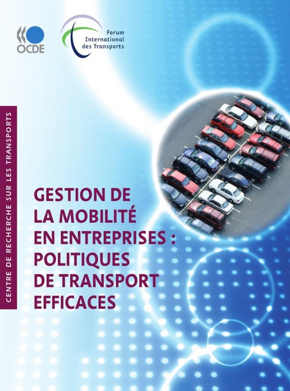 Big bigCover of Gestion de la mobilité en entreprises: Politiques de transport efficaces