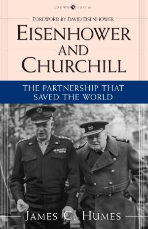Book cover of Eisenhower and Churchill