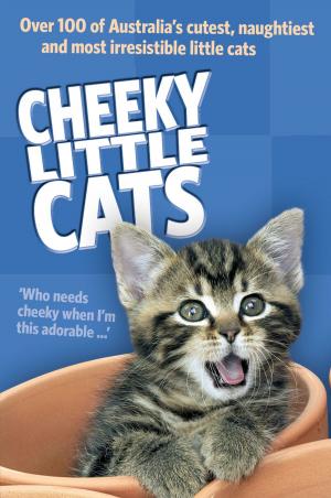Cover of the book Cheeky Little Cats by Janice Marriott, Virginia Pawsey