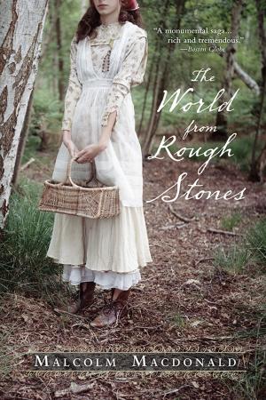Cover of the book The World from Rough Stones by Cathie Pelletier