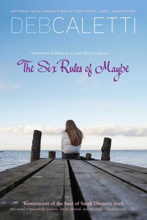 Cover of the book The Six Rules of Maybe by Jodi Picoult, Jake van Leer, Jodi Picoult, Ellen Wilber