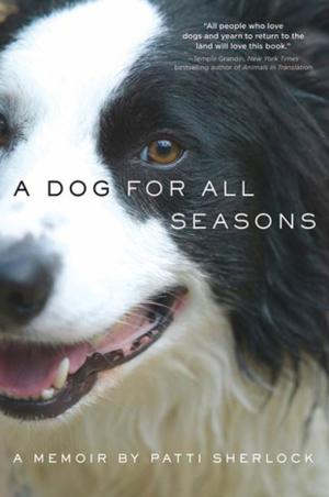 Cover of the book A Dog for All Seasons by Michael Curtis Ford