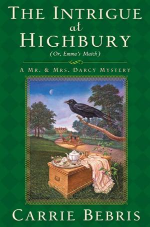 Cover of the book The Intrigue at Highbury by Rachel McLean