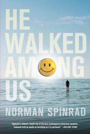 Cover of the book He Walked Among Us by David Lubar
