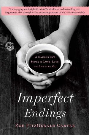 Cover of the book Imperfect Endings by Andrew Bleiman, Chris Eastland