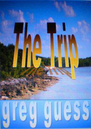 Cover of the book The Trip by Marco Haurélio, Jô Oliveira, Thiago Lins