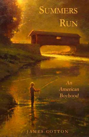 Cover of the book Summers Run: An American Boyhood by M. Llanos Guillén Torres