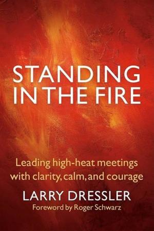 Cover of the book Standing in the Fire by Richard H. Axelrod, Emily H. Axelrod, Julie H. Beedon