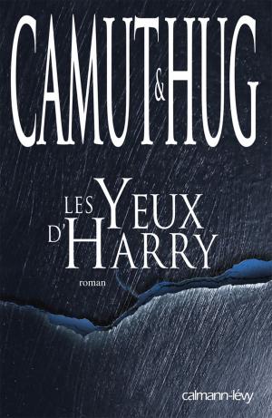 Cover of the book Les yeux d'Harry by Michel Quint