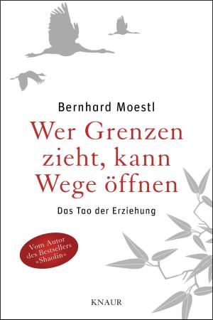 Cover of the book Das Shaolin-Buch für Eltern by Oliver Stöwing