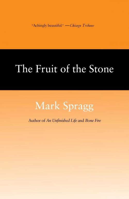 Cover of the book The Fruit of Stone by Mark Spragg, Knopf Doubleday Publishing Group