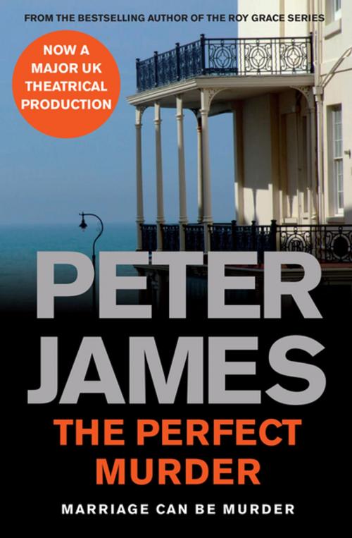 Cover of the book The Perfect Murder by Peter James, Pan Macmillan