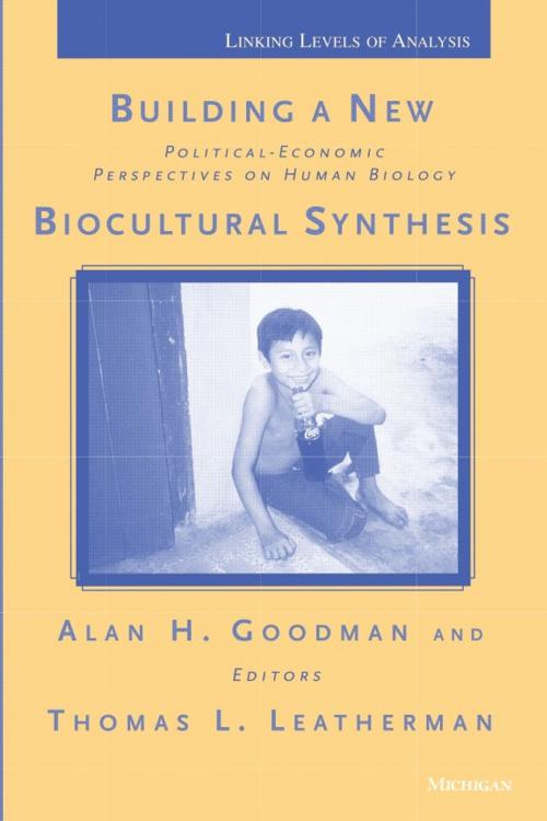 Cover of the book Building a New Biocultural Synthesis by , University of Michigan Press