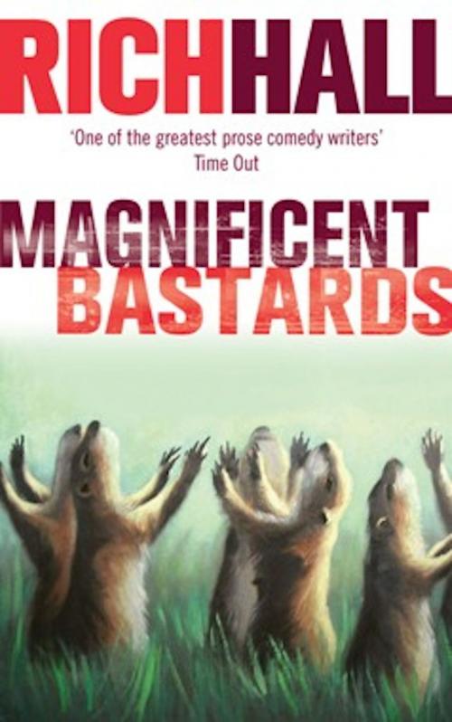 Cover of the book Magnificent Bastards by Rich Hall, Little, Brown Book Group