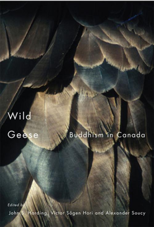 Cover of the book Wild Geese by John S. Harding, Alexander Soucy, Victor Sōgen Hori, MQUP