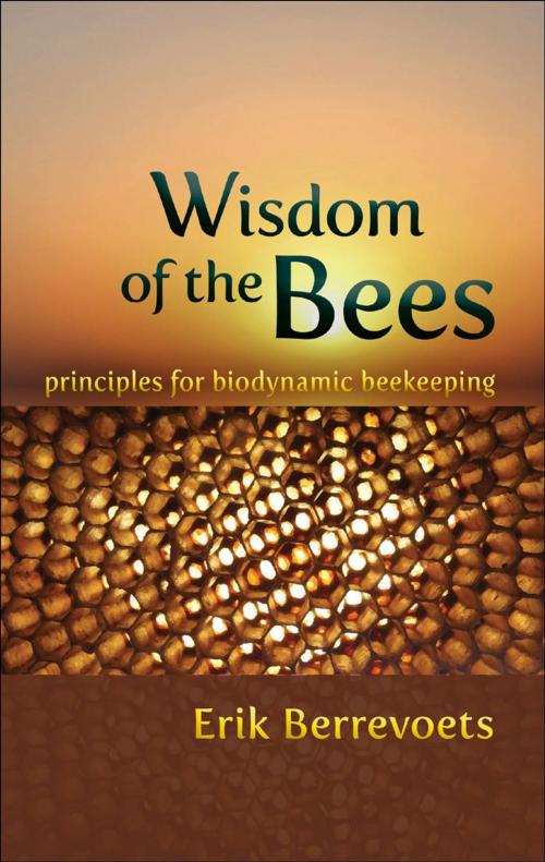 Cover of the book Wisdom of the Bees by Erik Berrevoets, SteinerBooks