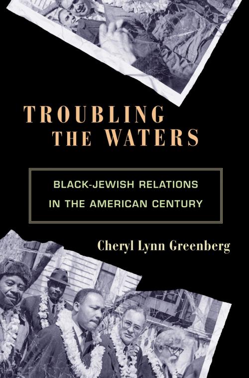 Cover of the book Troubling the Waters by Cheryl Lynn Greenberg, Princeton University Press