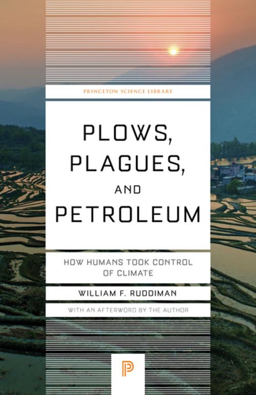 Cover of the book Plows, Plagues, and Petroleum by William F. Ruddiman, Princeton University Press