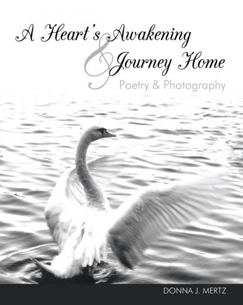 Cover of the book A Heart's Awakening & Journey Home by Donna J. Mertz, Trafford Publishing