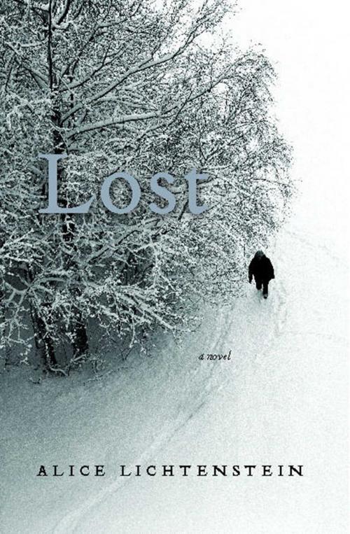 Cover of the book Lost by Alice Lichtenstein, Scribner