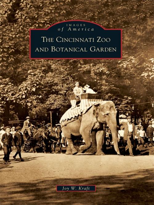 Cover of the book The Cincinnati Zoo and Botanical Garden by Joy W. Kraft, Arcadia Publishing Inc.