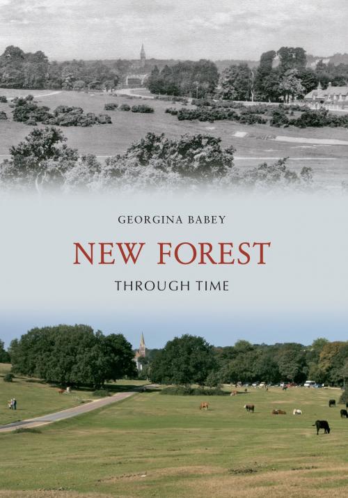Cover of the book New Forest Through Time by Georgina Babey, Amberley Publishing