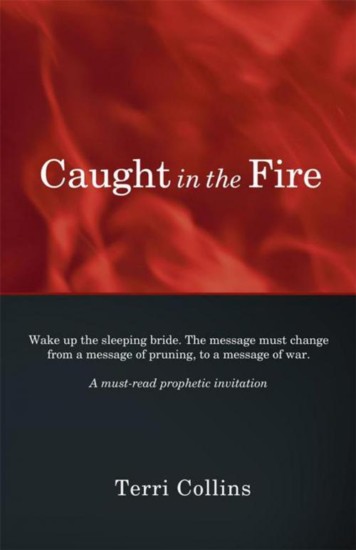 Cover of the book Caught in the Fire by Terri Collins, WestBow Press