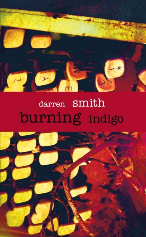 Cover of the book Burning Indigo by Darren Smith, iUniverse