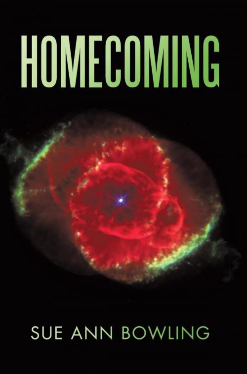 Cover of the book Homecoming by Sue Ann Bowling, iUniverse