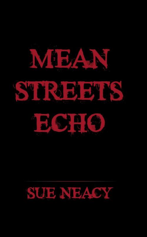 Cover of the book Mean Streets Echo by Sue Neacy, iUniverse