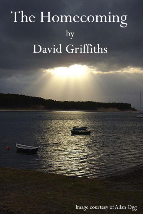 Cover of the book The Homecoming by David Griffiths, David Griffiths