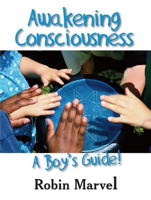 Cover of the book Awakening Consciousness by Robin Marvel, Loving Healing Press