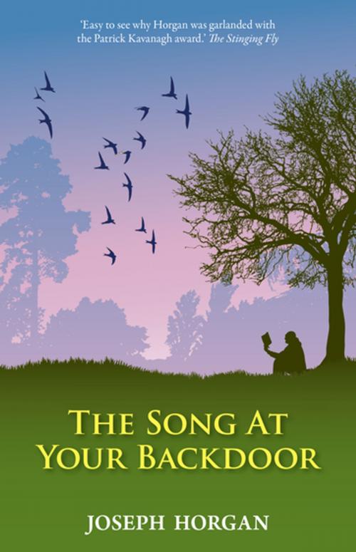 Cover of the book The Song at Your Backdoor by Joseph Horgan, Gill Books