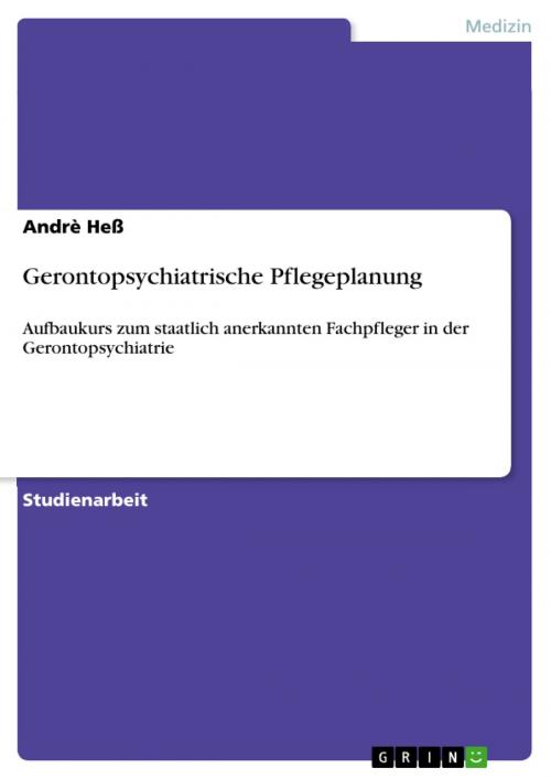 Cover of the book Gerontopsychiatrische Pflegeplanung by Andrè Heß, GRIN Verlag