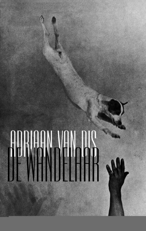 Cover of the book De wandelaar by Adriaan Dis, Atlas Contact, Uitgeverij