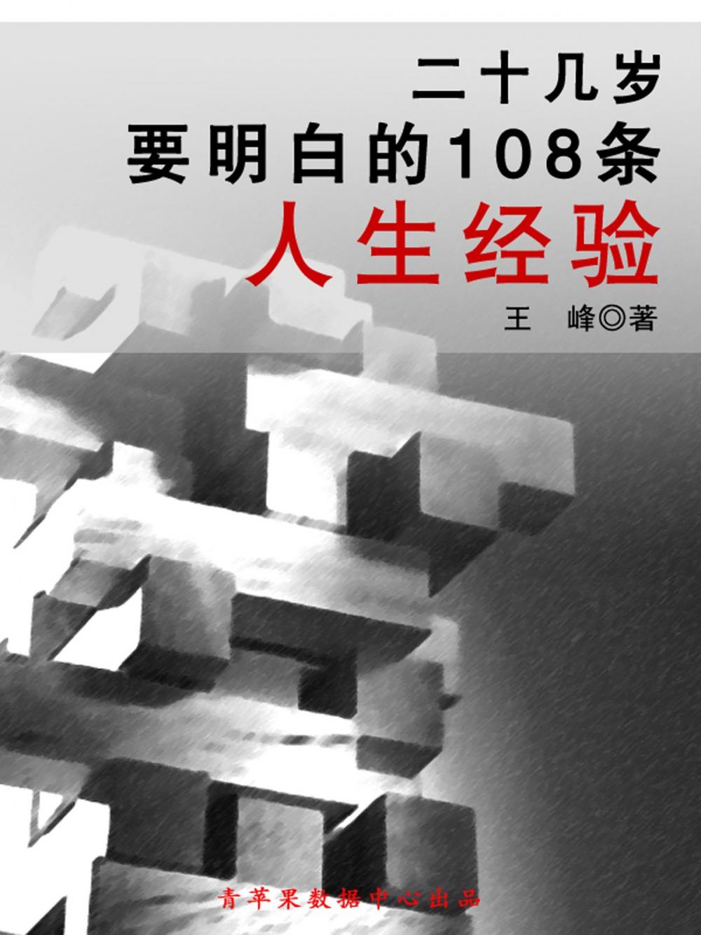 Big bigCover of 二十几岁要明白的108条人生经验