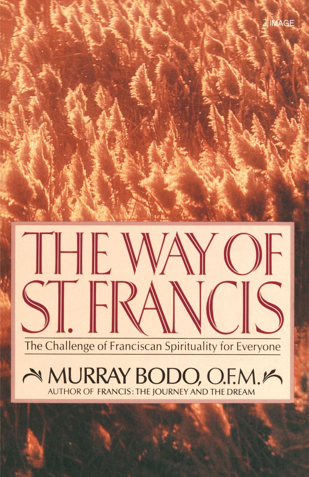 Big bigCover of The Way of St. Francis