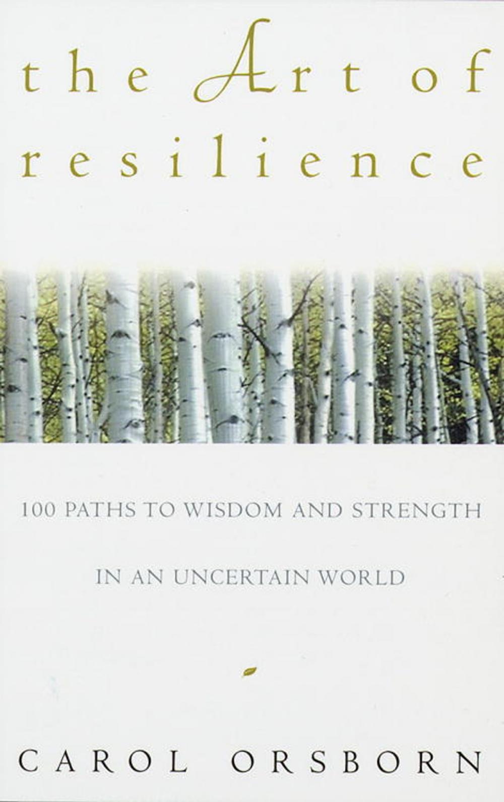 Big bigCover of The Art of Resilience