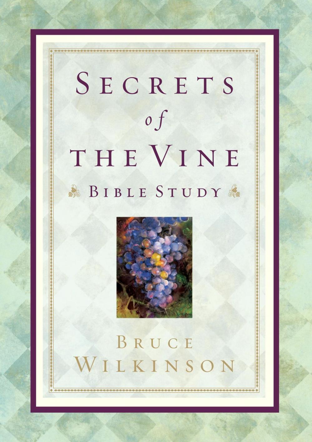 Big bigCover of Secrets of the Vine Bible Study