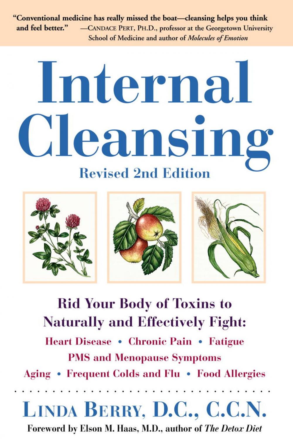 Big bigCover of Internal Cleansing, Revised 2nd Edition