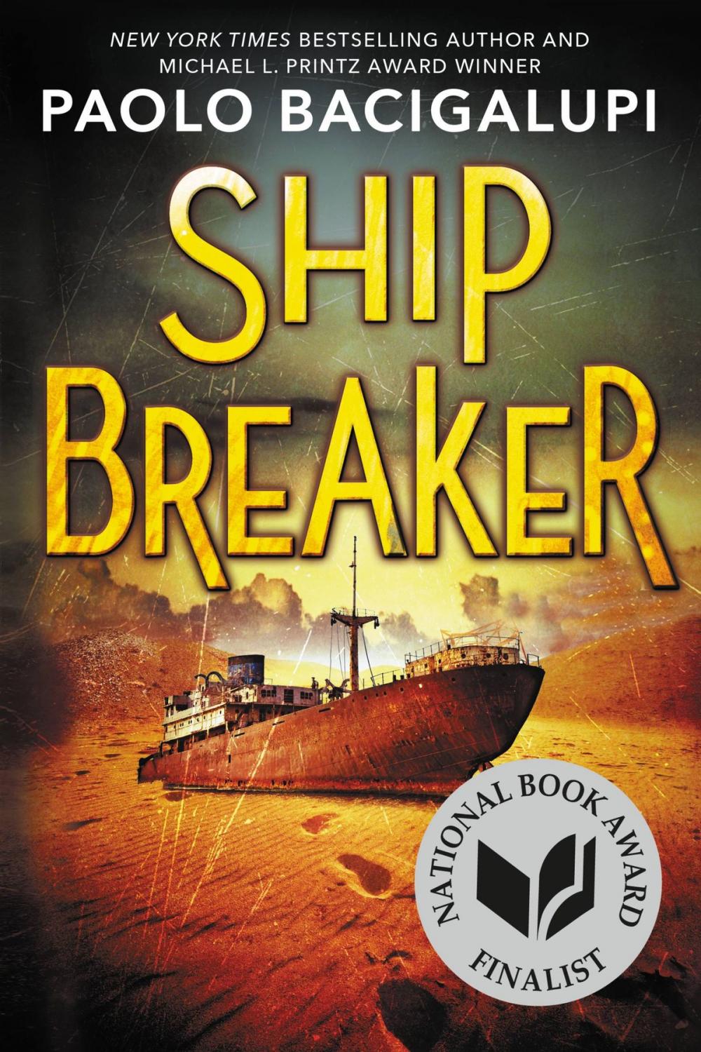 Big bigCover of Ship Breaker